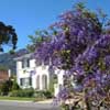 La Fontaine Guest House, South Africa, Franschhoek